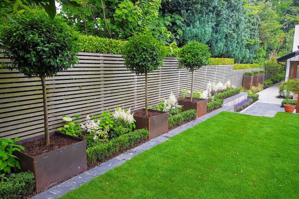 Garden Design Stillorgan