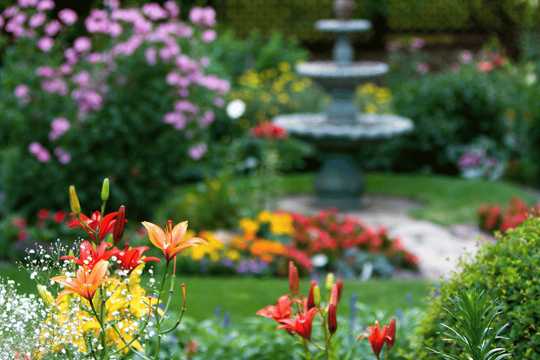 Beautiful Bulbs BulbPlanting Season LandArt