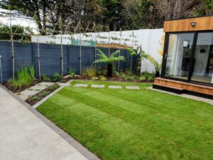  Espalier Trees