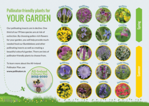 Biodiverse Planting Schemes