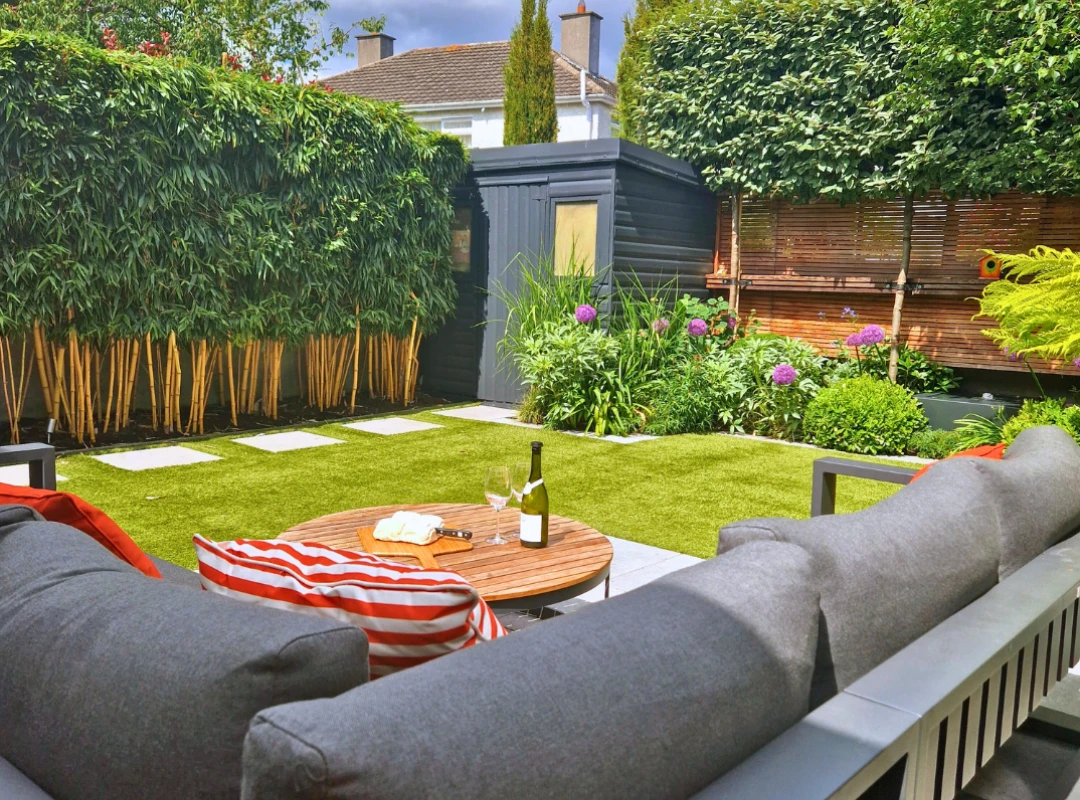 Small Garden with Pleached Trees, Cabinteely, Dublin