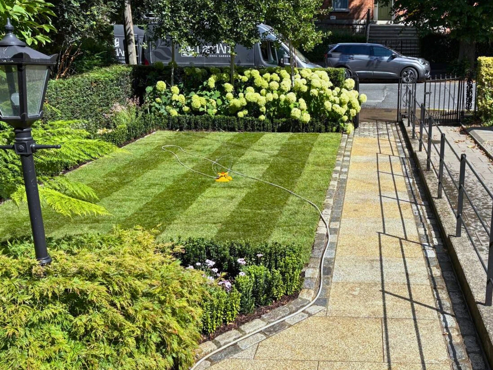 Hedging planted to provide privacy in a front garden in Ballsbridge, Dublin 4.