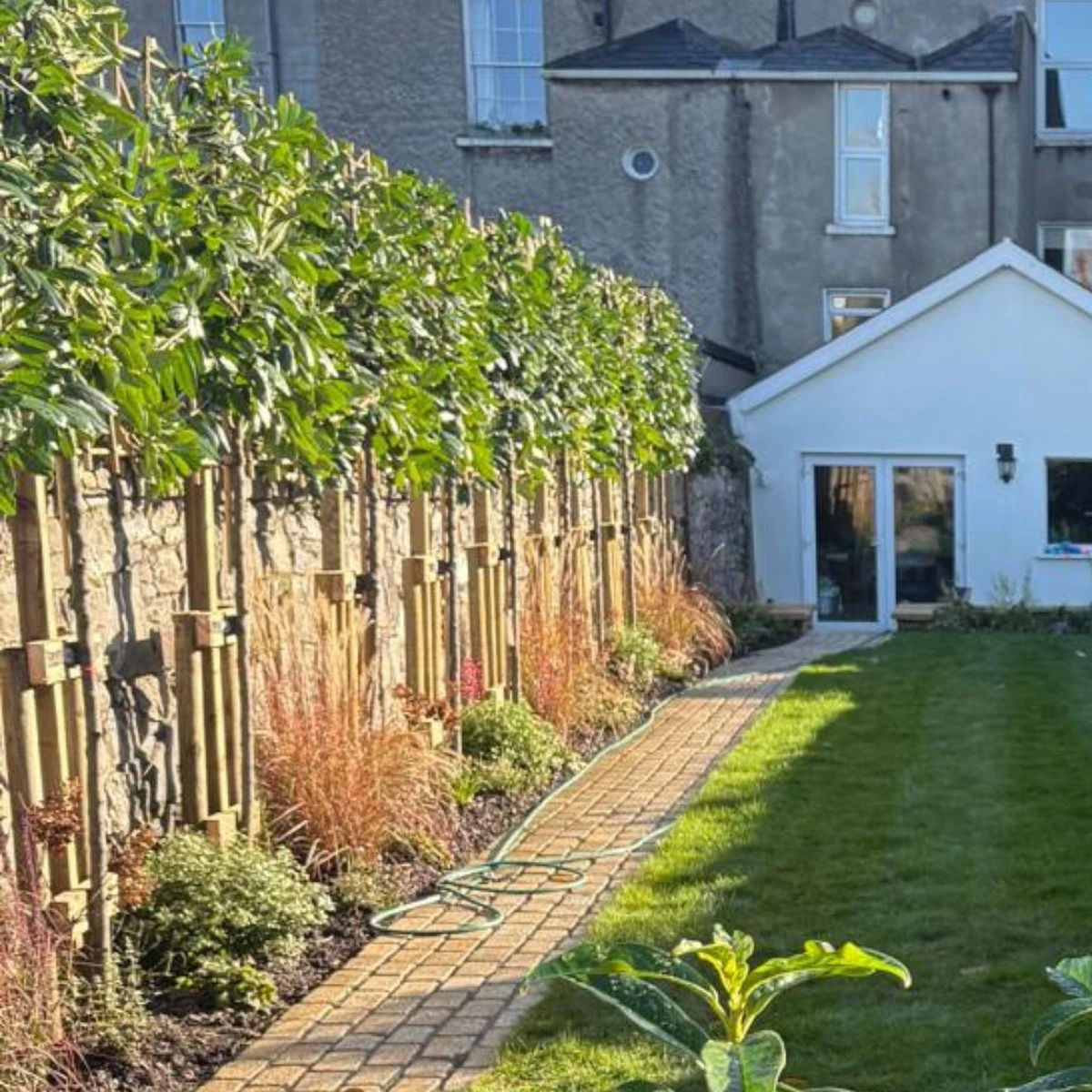 Trees and Hedges for Privacy