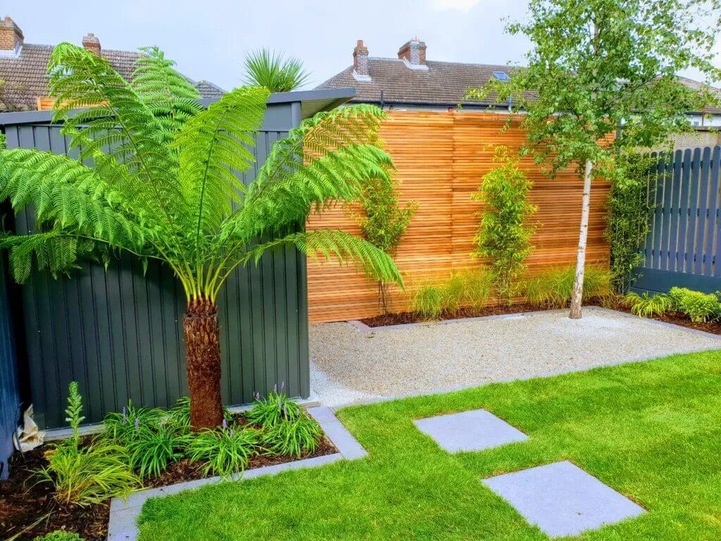 A compact low-maintenance Irish garden featuring raised beds, evergreen structural planting and gravel with membrane for minimal weeding.